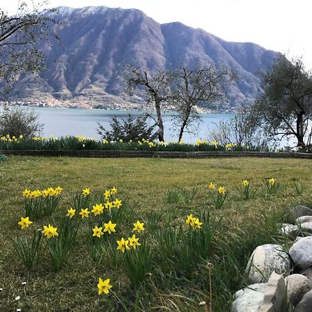 Big Apartment With Lake View And Three Bedrooms Sala Comacina Luaran gambar